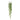 -Ruscus Hanging-Bloomr