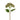 -Hydrengea-Bloomr-Saudi