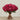 Bouquet-Artificial Peony Bouquet-Bloomr