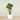 Trees-Artificial Agave Tree <br> 135cm-Bloomr
