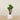 Trees-Artificial Agave Tree <br> 120cm-Bloomr