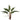 '-Fern Bush-Bloomr