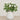 Floral Arrangement-Artificial Cabbage Rose Plant-Bloomr