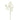 -Limonium Spray-Bloomr