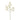 -Limonium Spray-Bloomr