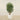 Trees-Artificial Aralia Tree 150cm-Bloomr