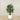 Trees-Artificial Finger Palm Tree 120cm-Bloomr