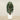 Trees-Artificial Finger Palm Tree <br> 180cm-Bloomr