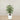 Trees-Artificial Ficus Deluxe Exotica Tree 120cm-Bloomr