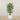 Trees-Artificial Ficus Deluxe Exotica Tree 150cm-Bloomr