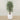 Trees-Artificial Ficus Deluxe Exotica Tree 180cm-Bloomr