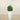 Trees-Artificial Fiddle Tree 90cm-Bloomr