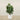 Trees-Artificial Fiddle Tree 120cm-Bloomr