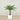 Trees-Artificial Phoenix Palm Tree 120cm-Bloomr