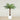 Trees-Artificial Phoenix Palm Tree 150cm-Bloomr