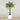 Trees-Artificial Phoenix Palm Tree 180cm-Bloomr