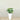 Trees-Artificial Alocasia Tree<br> 60cm-Bloomr