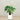 Trees-Artificial Alocasia Tree 100cm-Bloomr