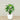 Trees-Artificial Alocasia Tree<br> 120cm-Bloomr