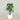 Trees-Artificial Monstera Tree 165cm-Bloomr