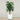 Trees-Artificial Monstera Tree 185cm-Bloomr
