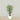 Trees-Artificial Mini Ficus Tree 150cm-Bloomr