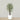 Trees-Artificial Mini Ficus Tree 180cm-Bloomr