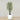 Trees-Artificial Mini Ficus Tree 210cm-Bloomr