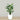 Trees-Artificial Bird of Paradise 120cm-Bloomr