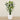 Trees-Artificial Bird of Paradise 180cm-Bloomr