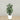 Trees-Artificial Rubber Tree 120cm-Bloomr