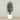 Trees-Artificial Rubber Plant 180cm-Bloomr