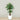 Trees-Artificial Areca Palm <br> 150cm-Bloomr