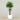 Trees-Artificial Areca Palm 180cm-Bloomr