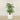 Trees-Artificial Palm Tree <br> 180cm-Bloomr