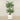 Trees-Artificial Palm Tree 210cm-Bloomr