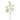 Plants-Hops Branch-Bloomr