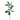 Plants-Banksia Leaves Spray-Bloomr