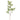 -Sorbus Spray-Bloomr