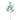 Plants-Eucalyptus Spray-Bloomr
