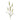 '-Pennisetum Spray-Bloomr