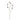 Flowers-Hare Tail Spray-Bloomr