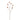 Flowers-Hare Tail Spray-Bloomr