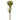 Greenery-Pincushion Stem-Bloomr
