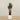 -Artificial Yucca Plant 165cm-Bloomr