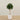 -Artificial Sweet Link Topiary 120cm-Bloomr