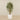 -Artificial Mini bamboo Tree 180cm-Bloomr