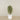 -Artificial Mini Ficus Tree 150cm-Bloomr