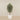 -Artificial Mini Ficus Tree 180cm-Bloomr