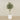 -Artificial Olive Tree 150cm-Bloomr